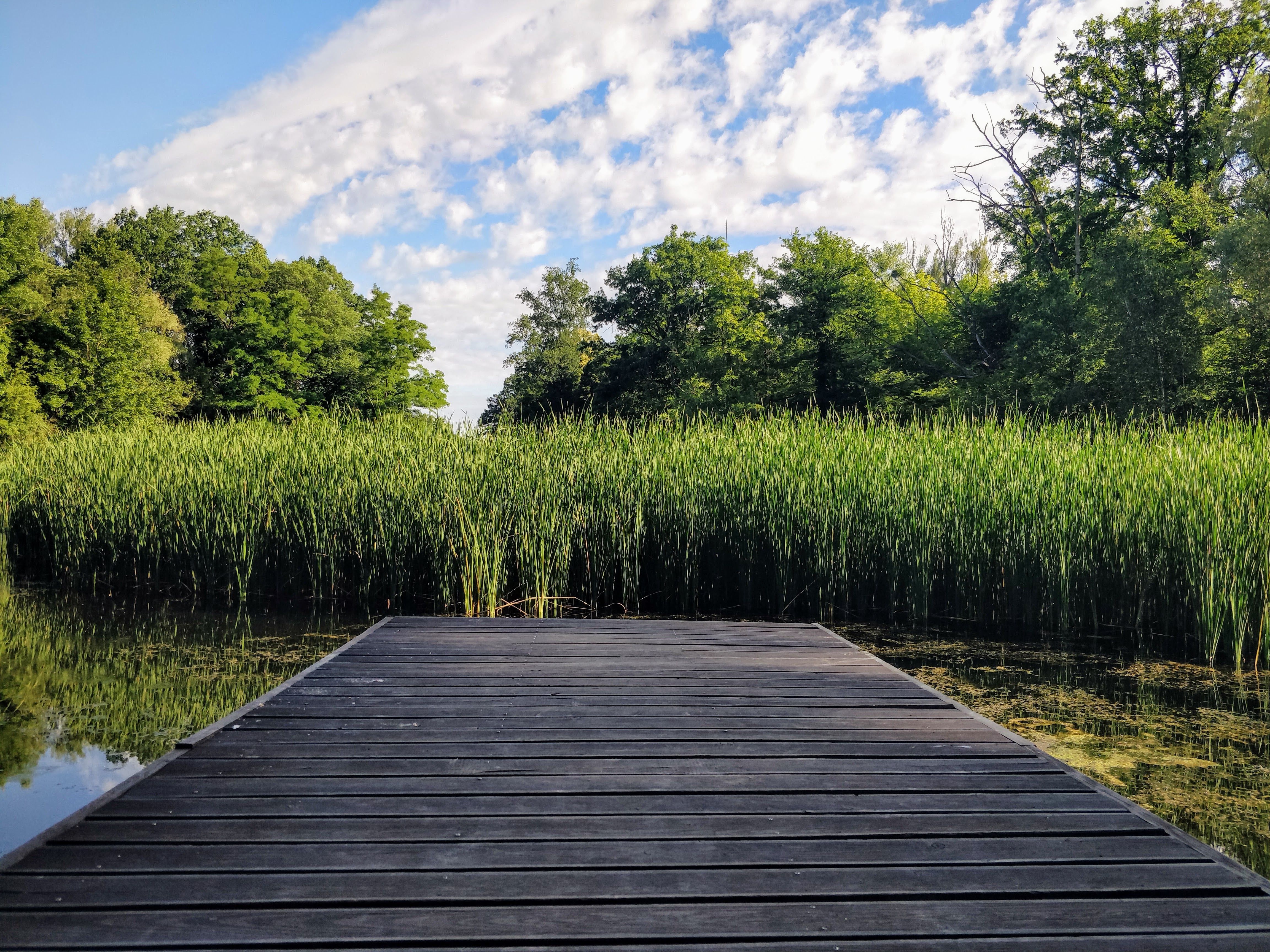 Iowa Outdoor Recreation Task Force hears from experts on economics, considers next steps - The Quad — Photo by MrGajowy3 Teod