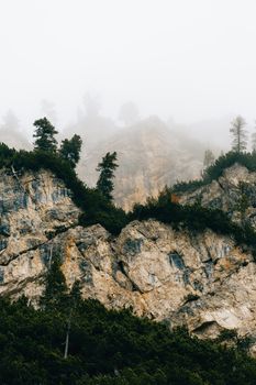 Scenic view of mountains with pine trees and mist creating a serene atmosphere.