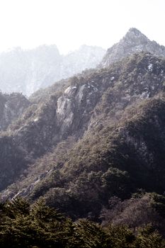 Majestic mountain range with dense forest, perfect for nature and travel themes.