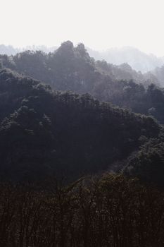 Captivating mountain landscape showcasing forested hills under natural light.