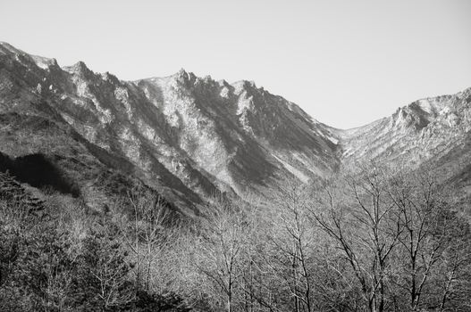 Stunning monochrome view of rugged mountain peaks and forested foreground.