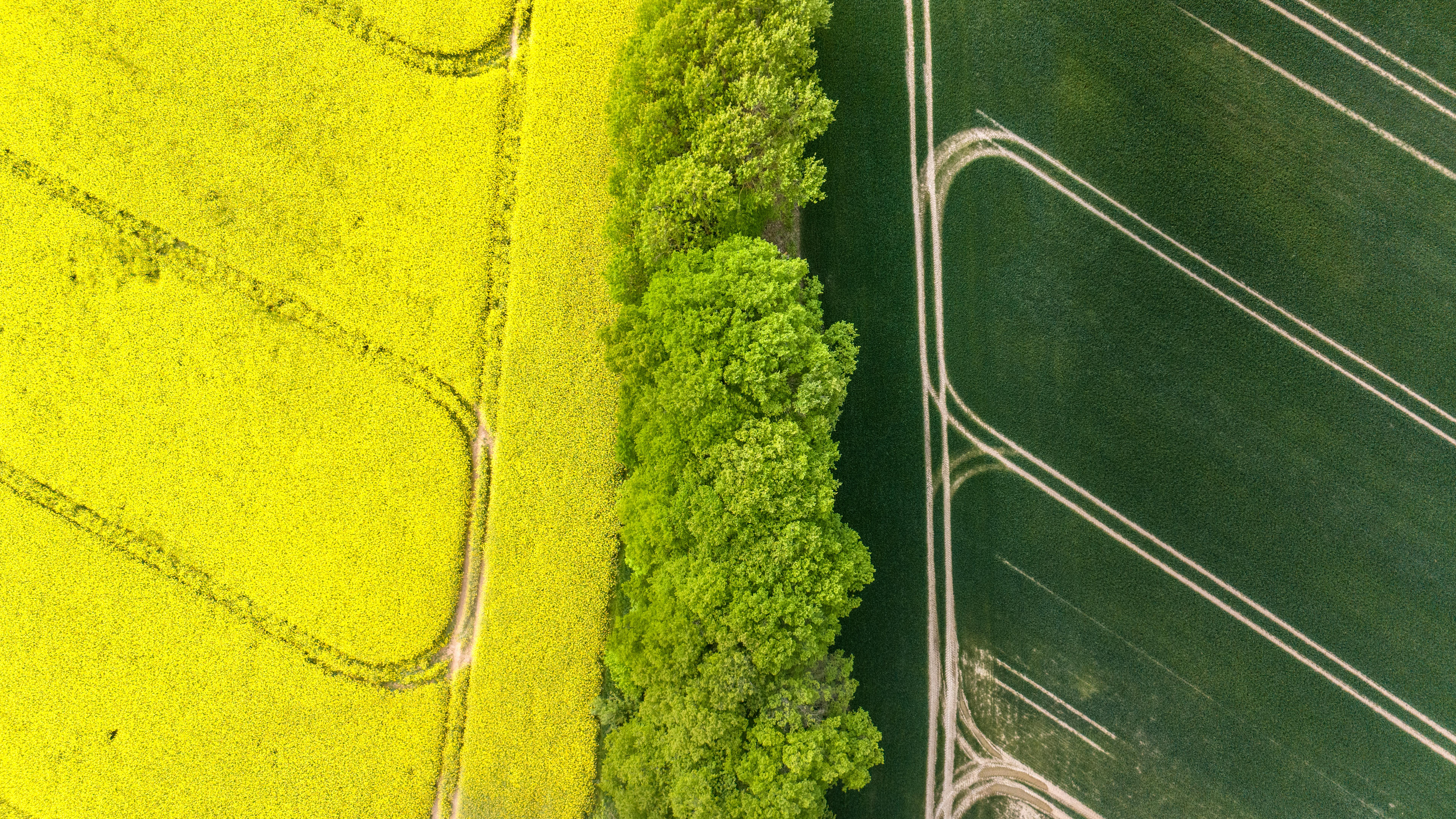 corporate governance esg governance part of esg — Photo by Marek Piwnicki on Pexels