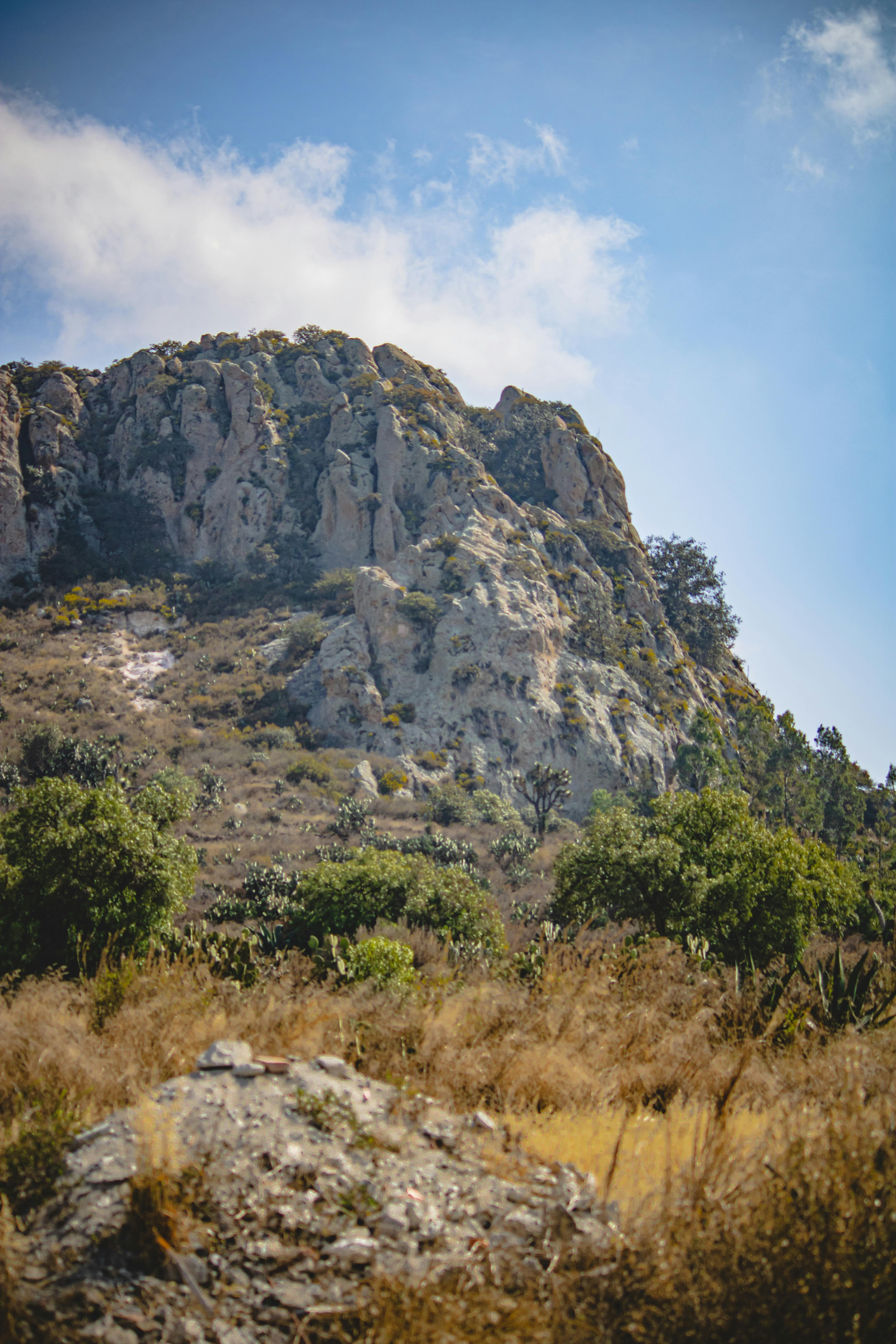 Explore the rugged beauty of Pachuca's mountainous terrain with lush greenery and clear blue skies.