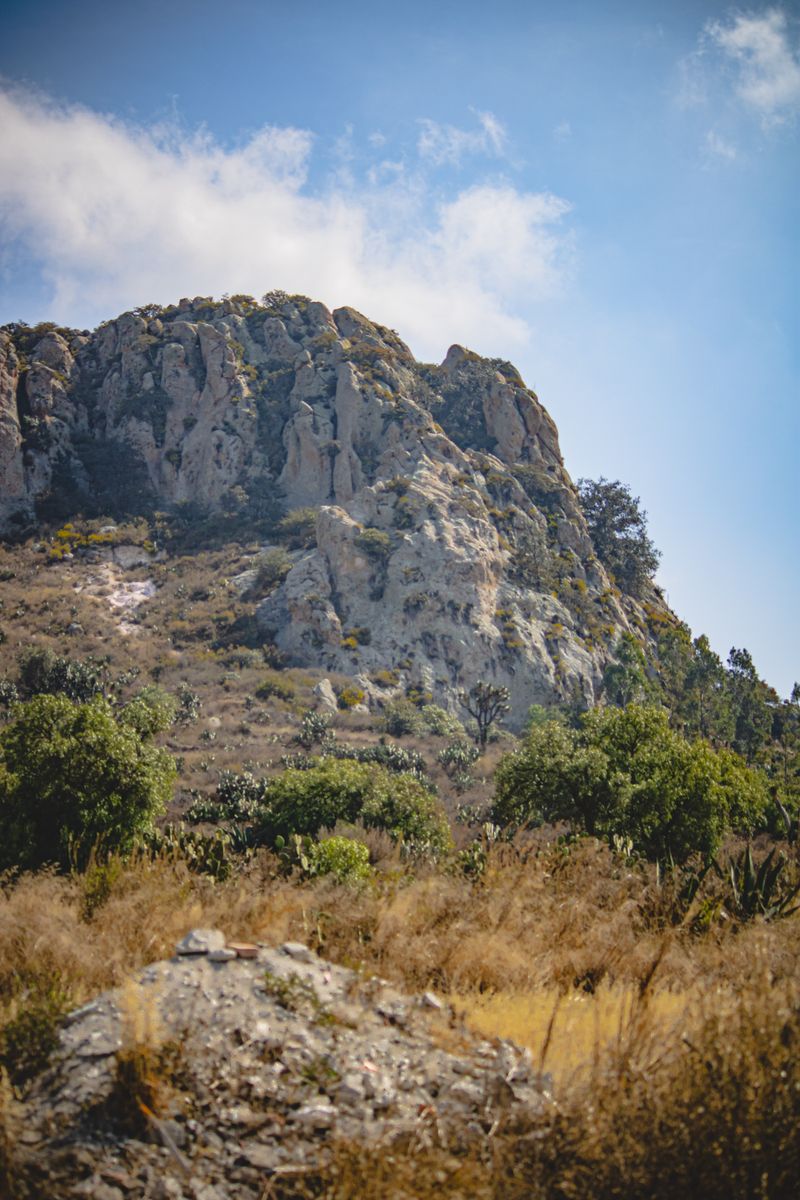 Explore the rugged beauty of Pachuca's mountainous terrain with lush greenery and clear blue skies.