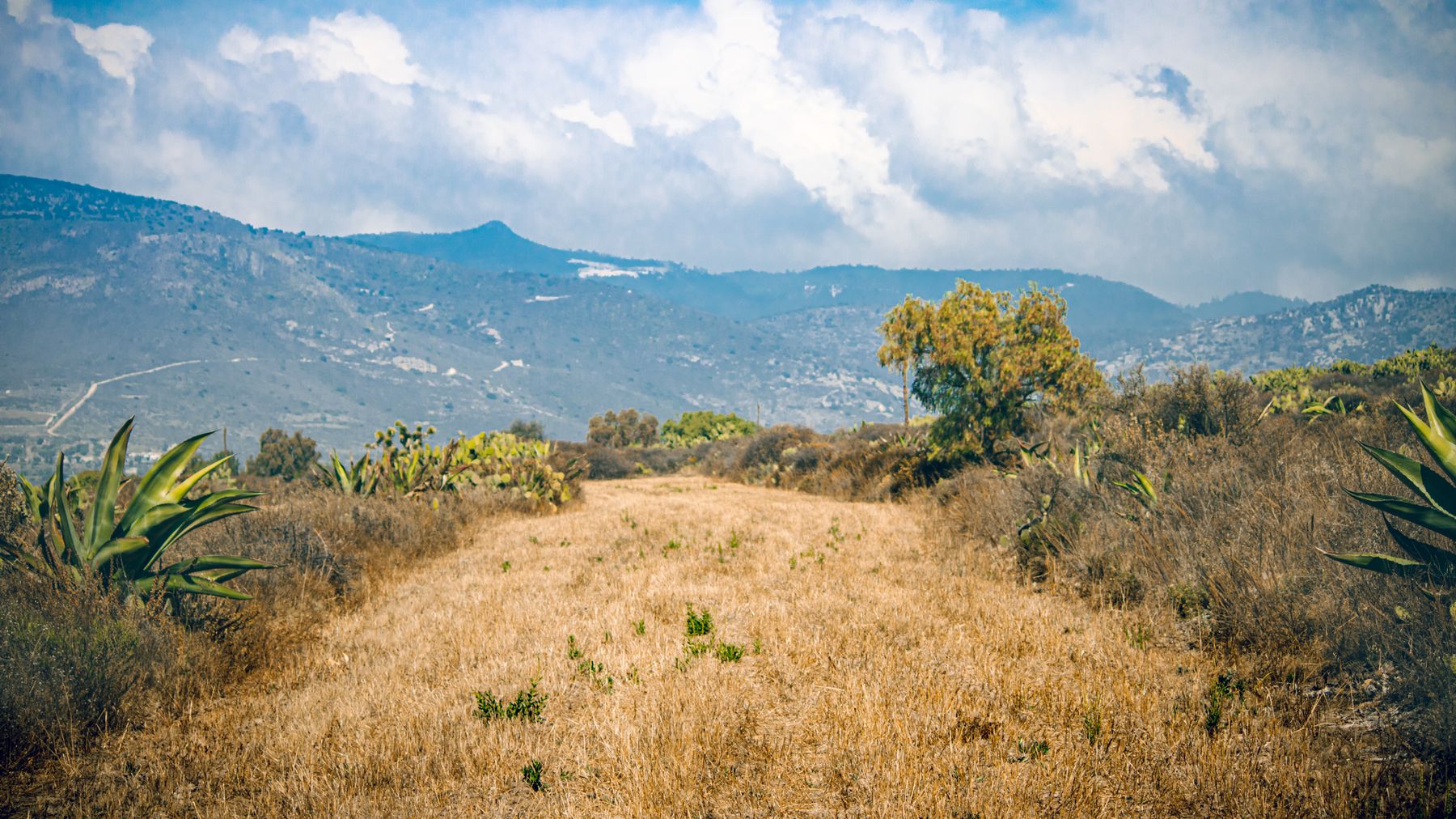 Explore the serene mountain trail with stunning landscape views in Pachuca de Soto, Mexico.
