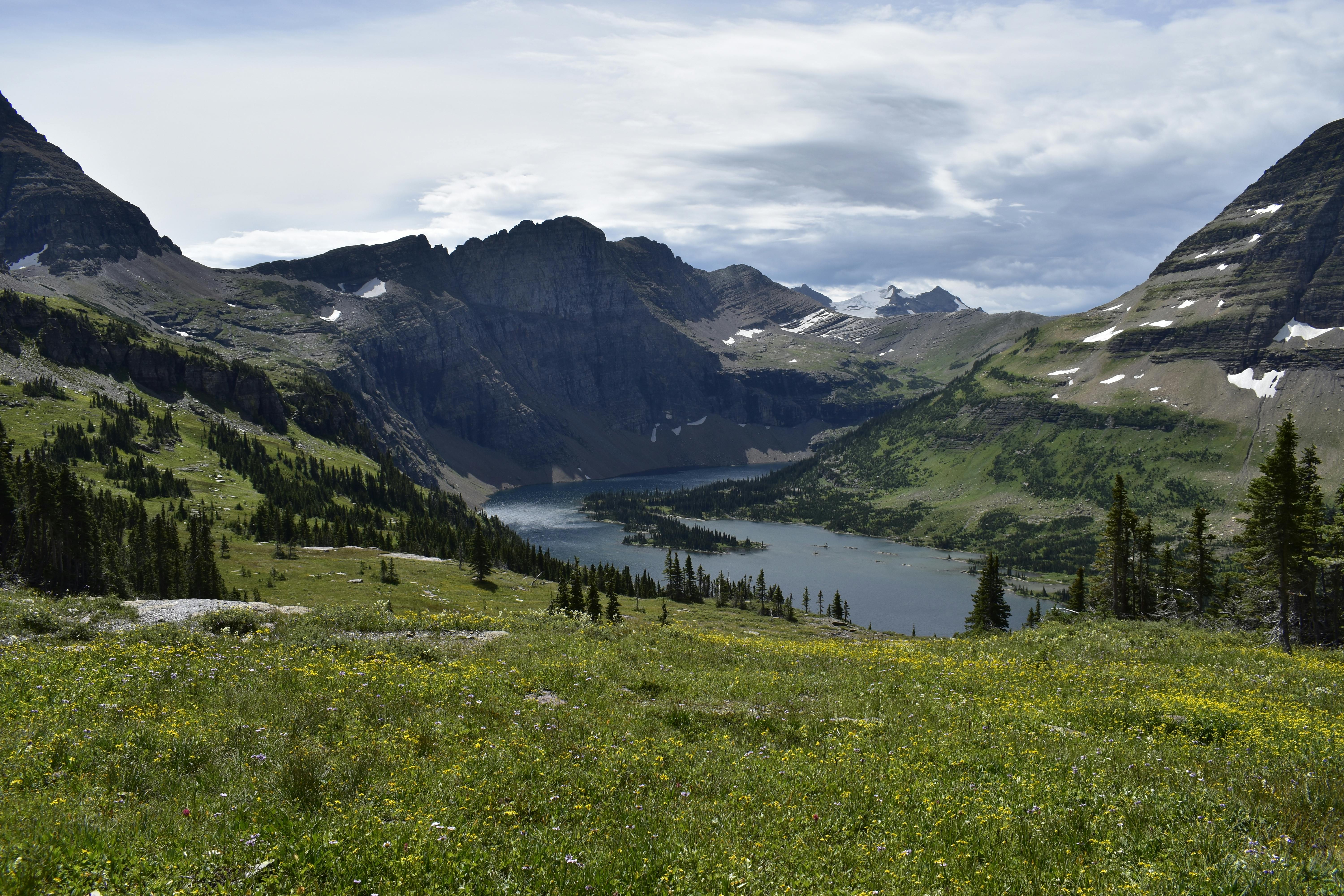 Wyoming, Montana attorneys general accuse big tech companies of greenwashing — Photo by Landon B on Pexels