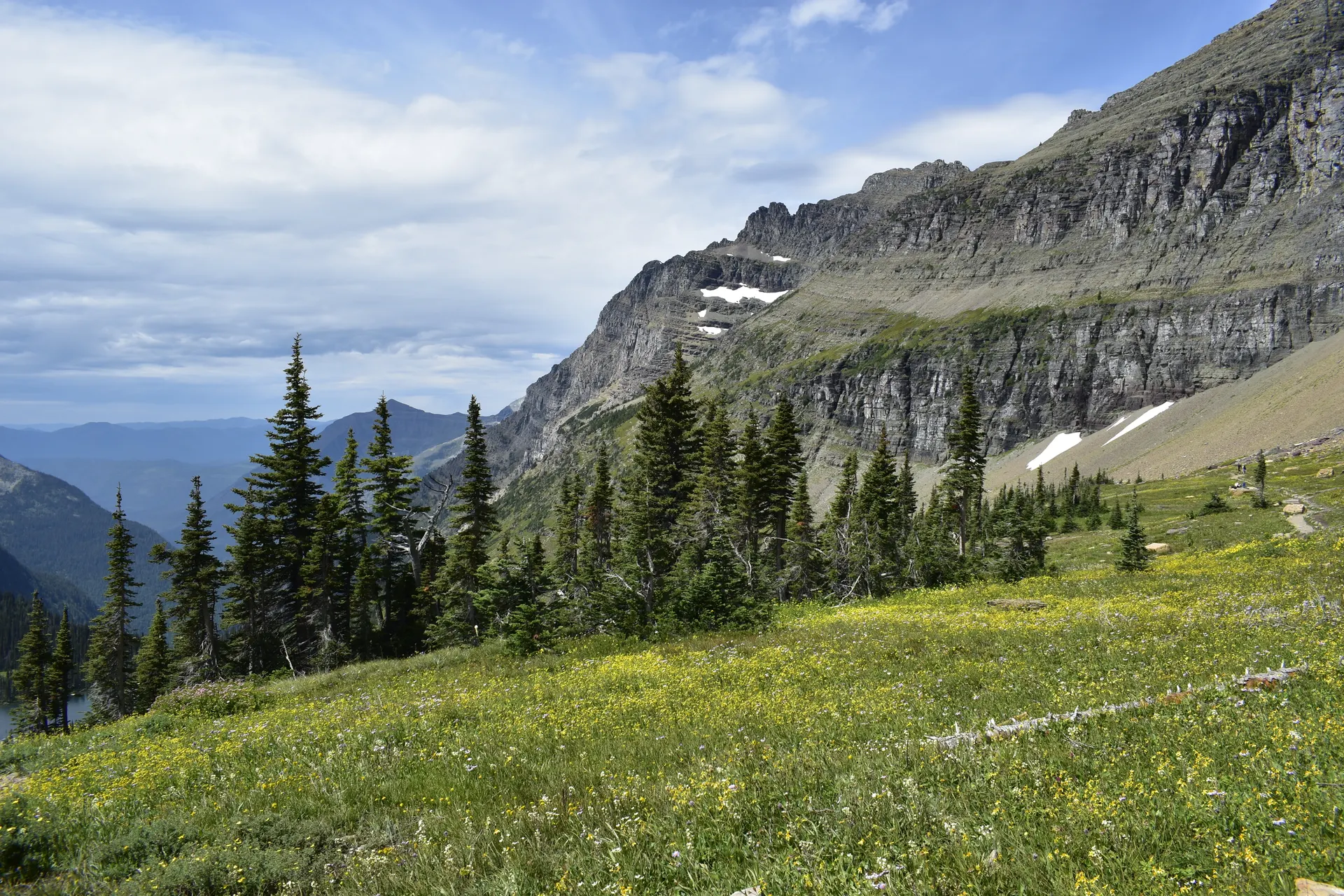 Mountain landscapes and meadows of Montana in this summer scene. Mountain landscapes and meadows of Montana in this summer scene.