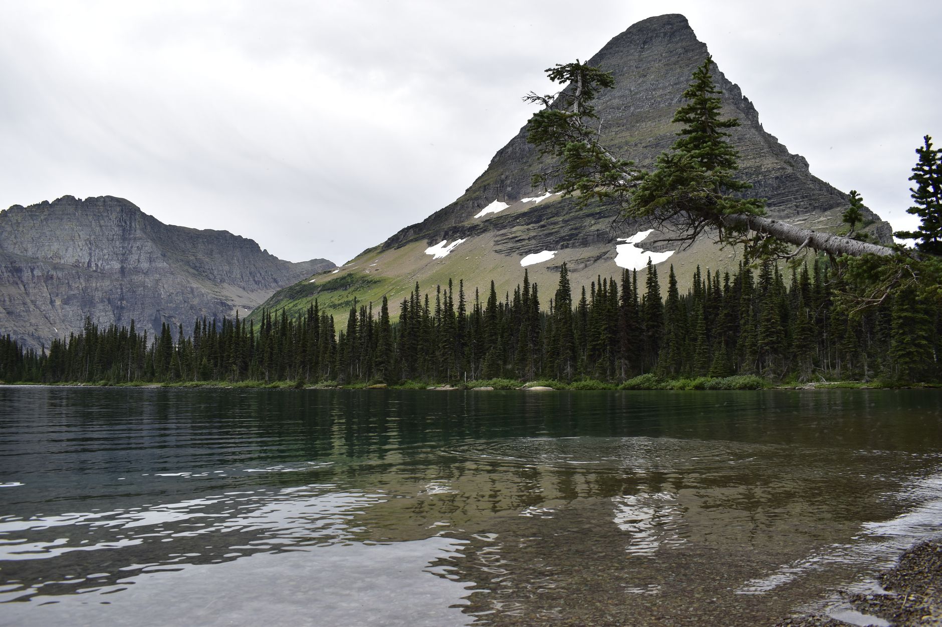 Montana photo 3