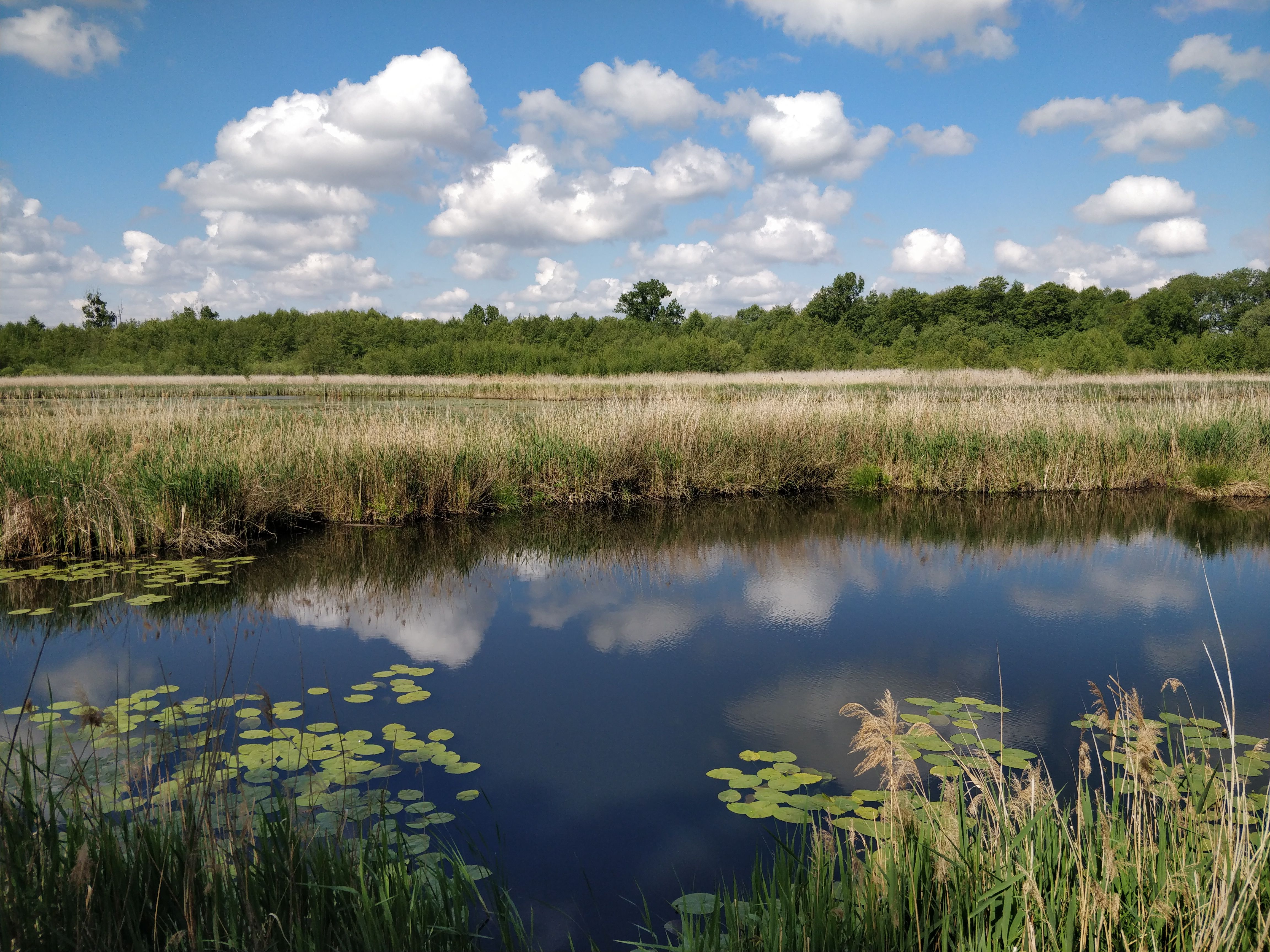OEP launches probe into DAERA’s management of protected nature sites