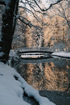 A snow-covered bridge and forest reflecting in a tranquil winter stream.