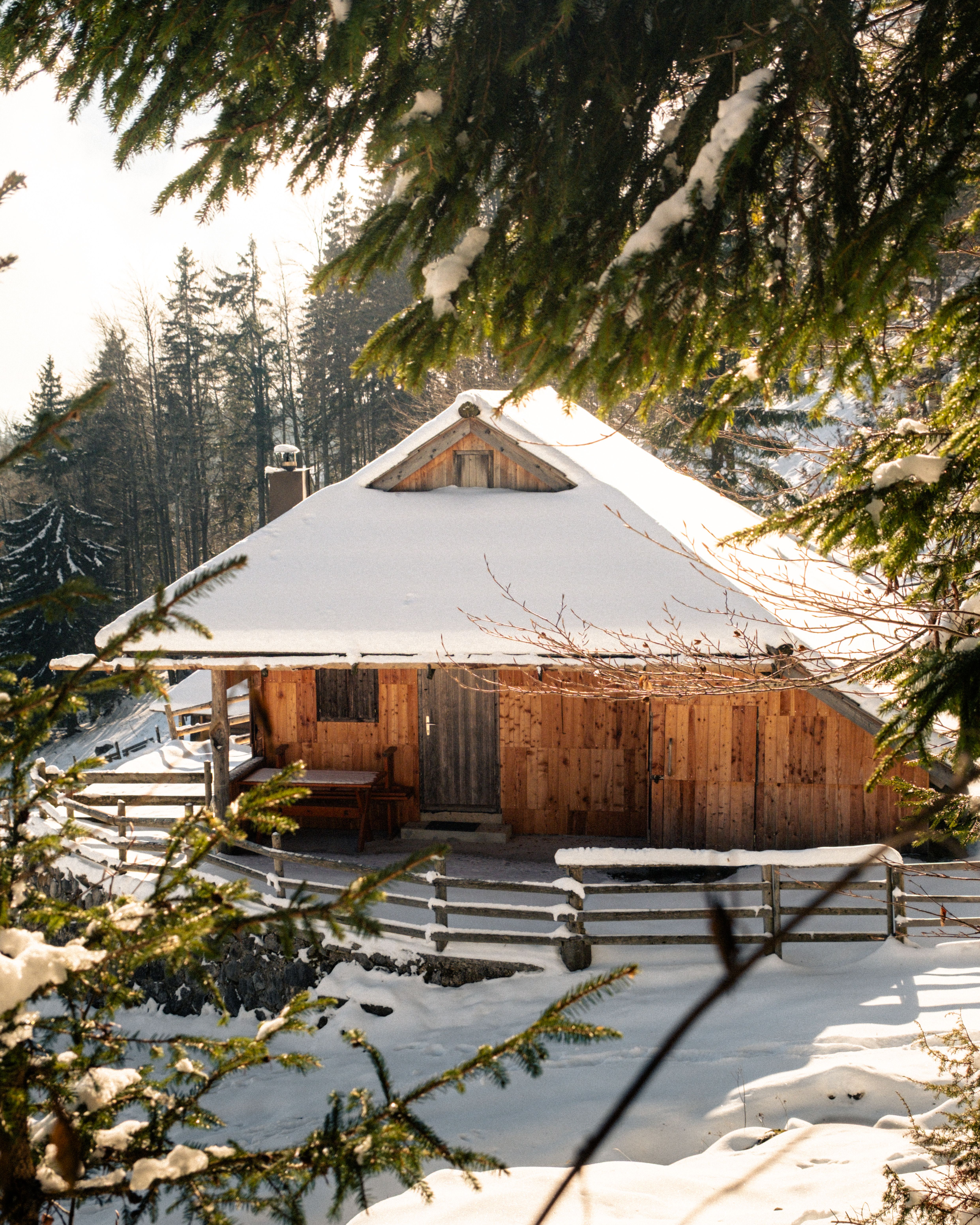 Brown Wooden House in the Middle of Snow Covered Trees Under White ...