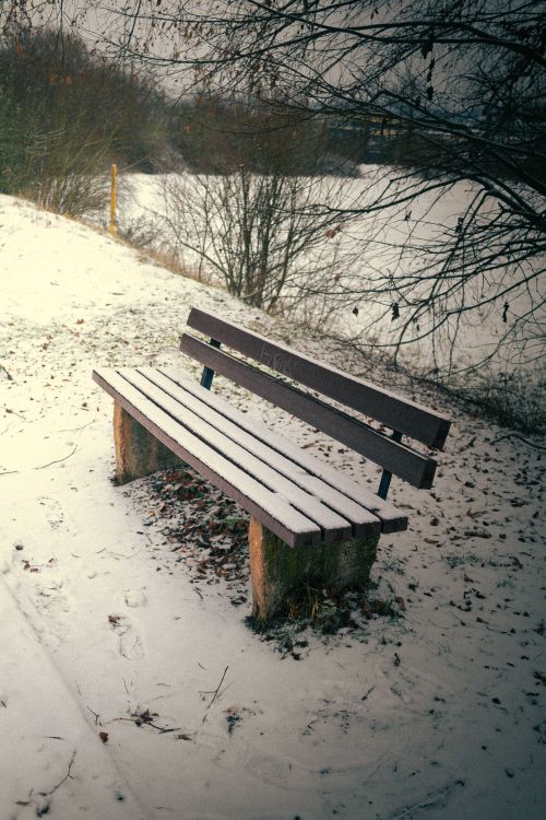 Free Serene winter scene with a snow-covered bench in a tranquil park setting. Stock Photo