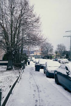 Snow-covered urban street with parked cars and bare trees in a quiet winter atmosphere.