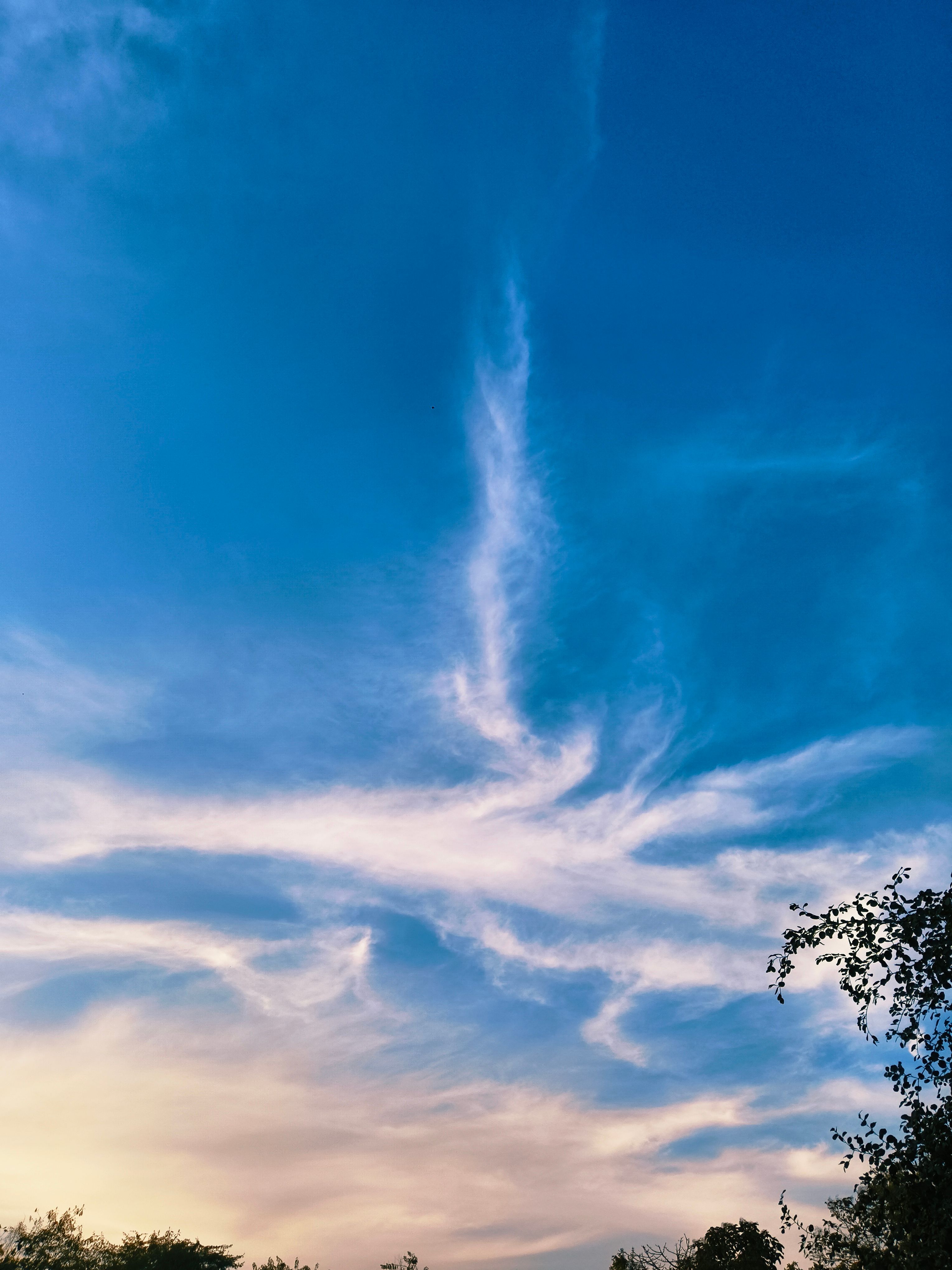 Cotton Candy Clouds in Vibrant Blue Sky · Free Stock Photo