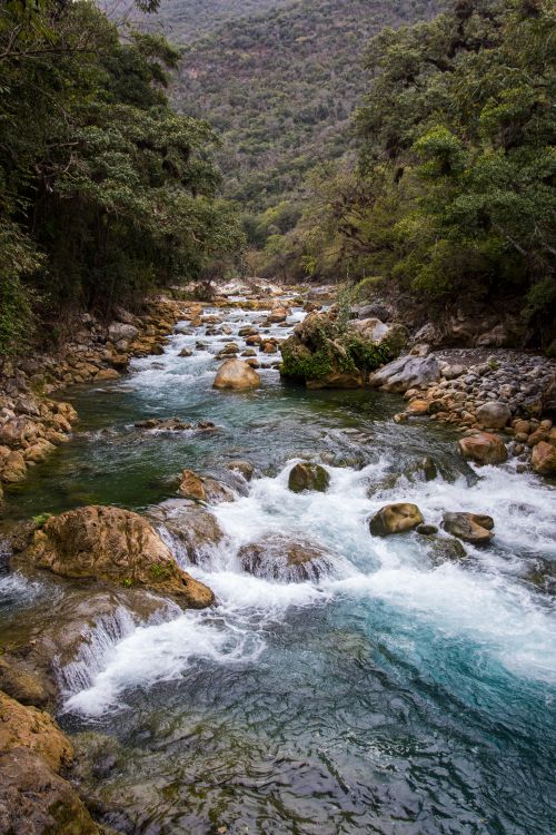 Free A scenic mountain river with clear, flowing water surrounded by lush greenery and rocky terrain. Stock Photo