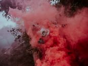 White Rose and Pink Smoke