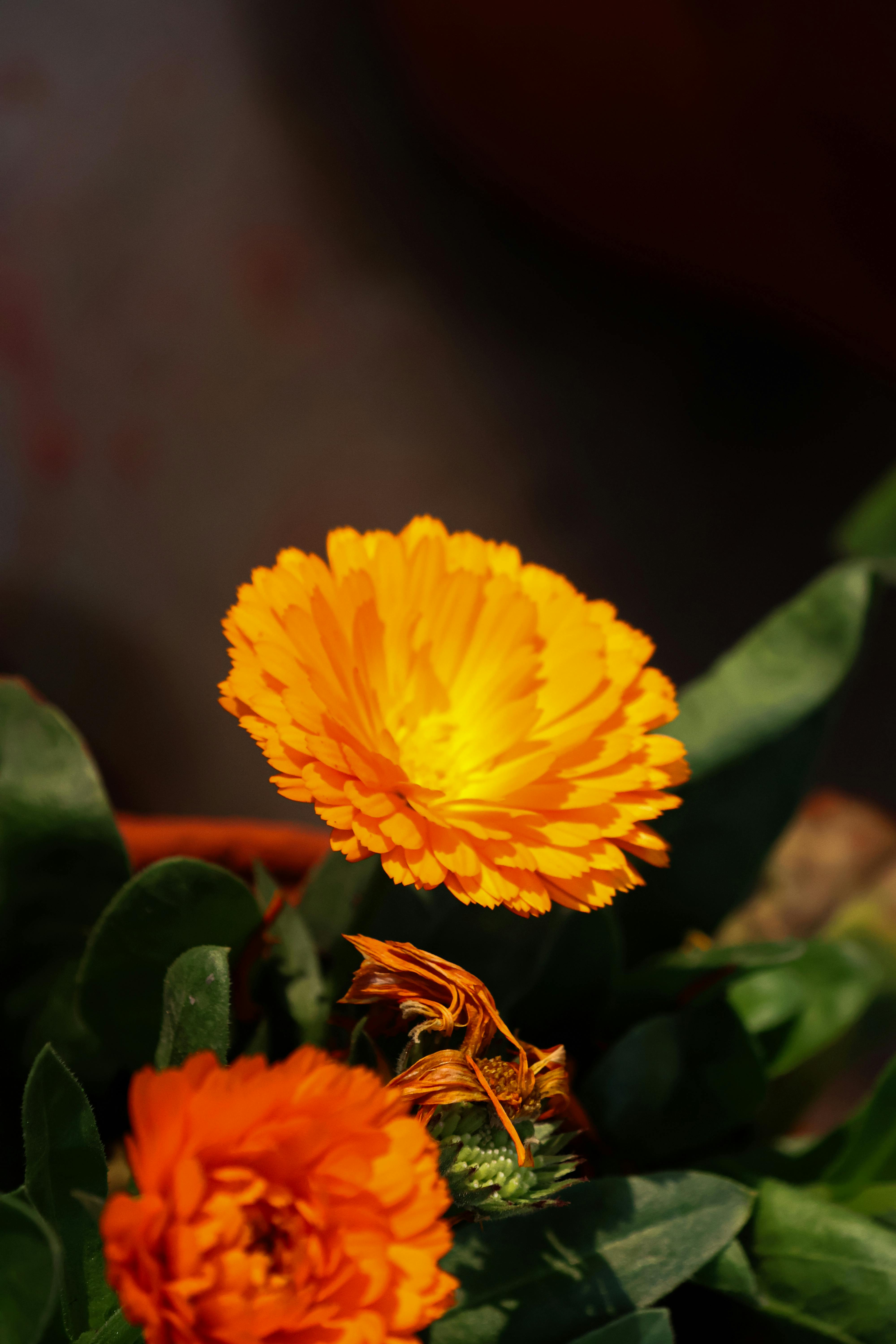 oliemonster in de midelantse zee: frankreik ondersgept verdagte tanker