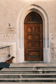 A curious dachshund stands by a ornate wooden door, adding charm to the historic setting.