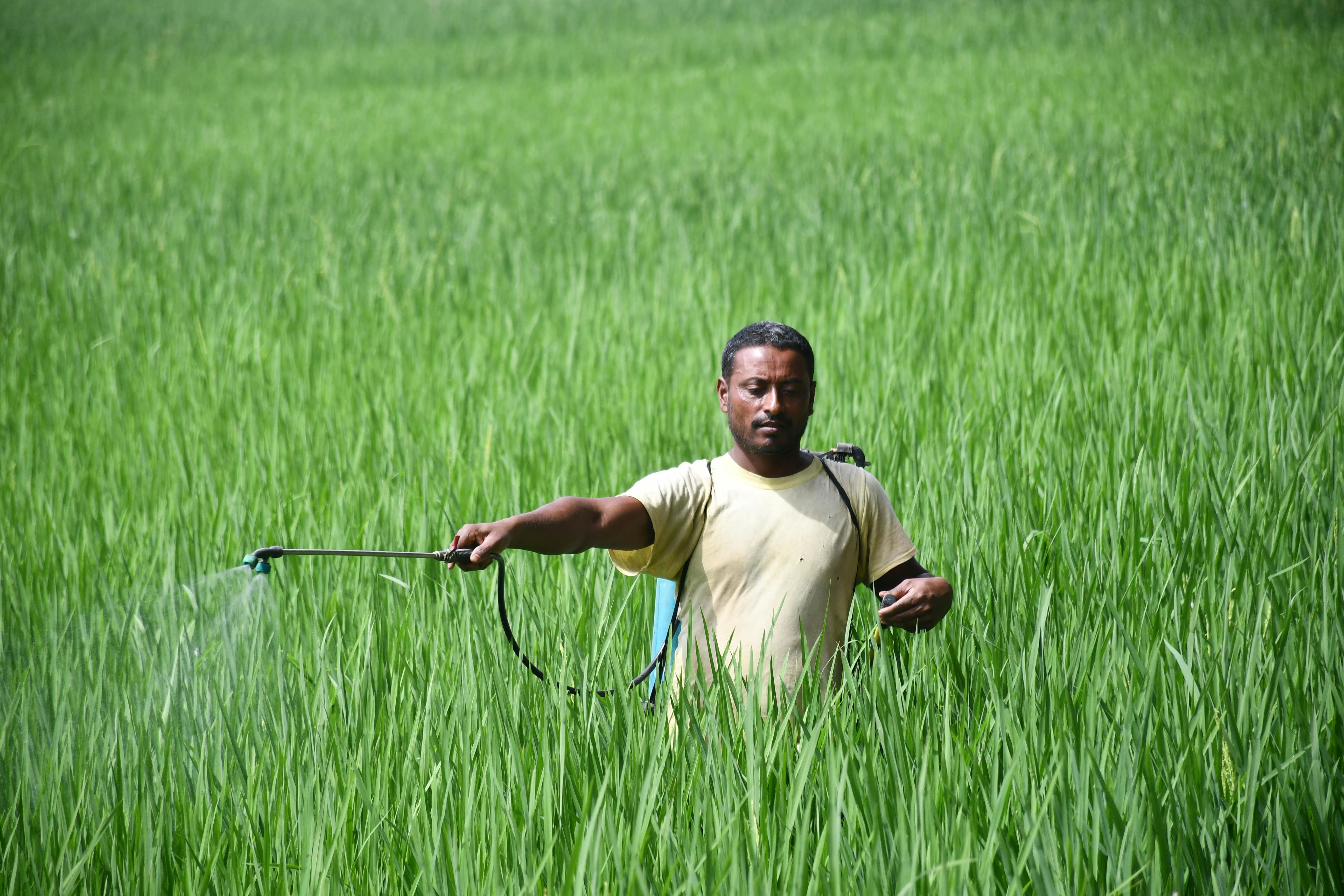 Biofarm insights image