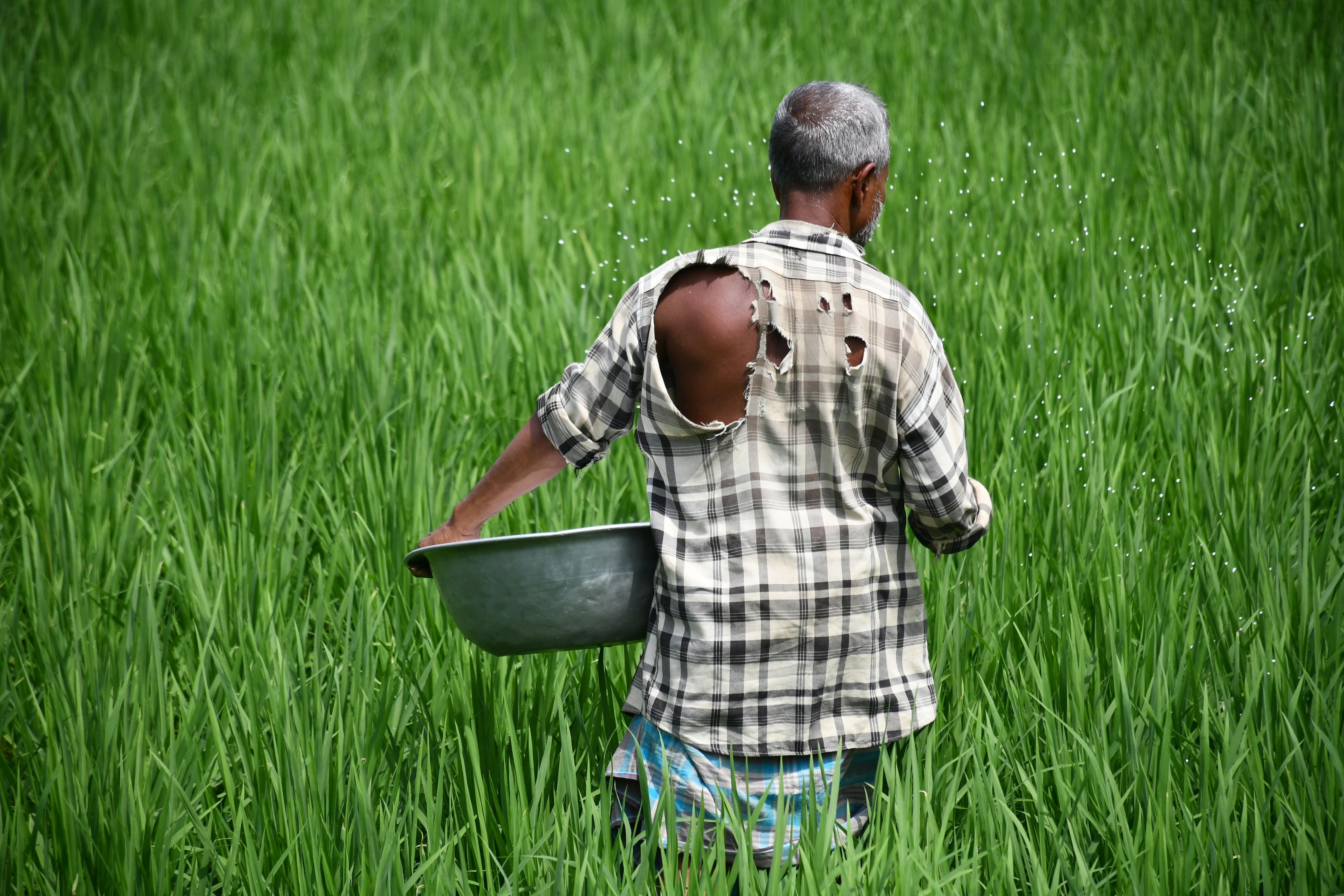 Year-end financial planning for farmers — Photo by masudar rahman on Pexels