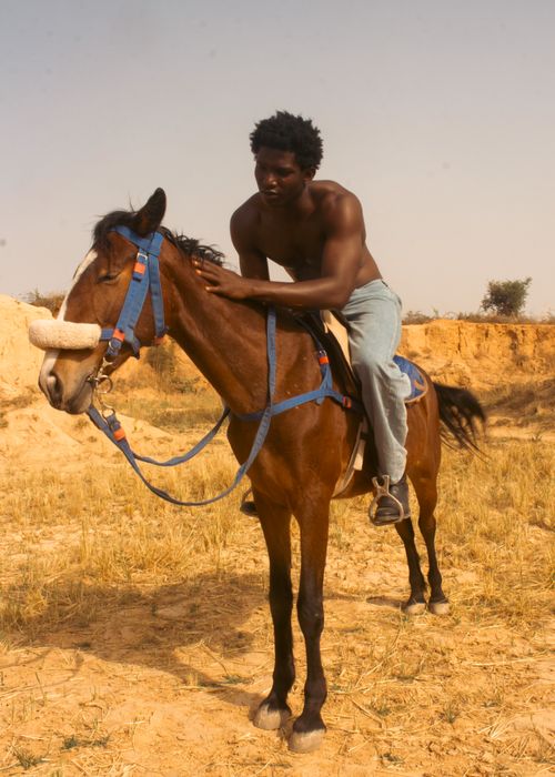 Free A shirtless young man rides a horse in a dry, sunny landscape. Stock Photo