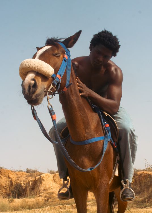 Man Riding Rocking Horse Man Riding a Horse in Sunny Outdoor Setting · Free Stock Photo