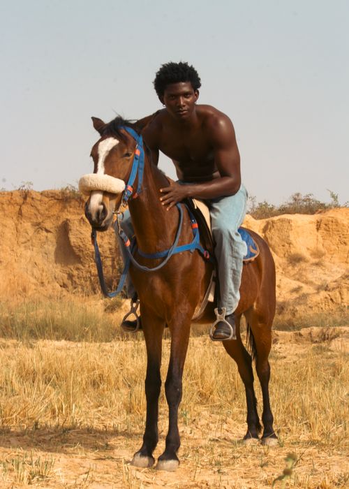 Free Young man confidently riding a brown horse in a natural outdoor environment. Stock Photo