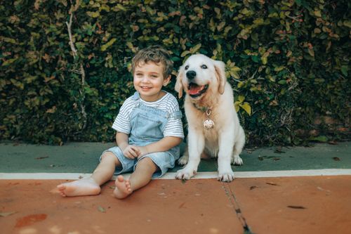 Aile İçin En Uygun 10 Köpek Irkı
