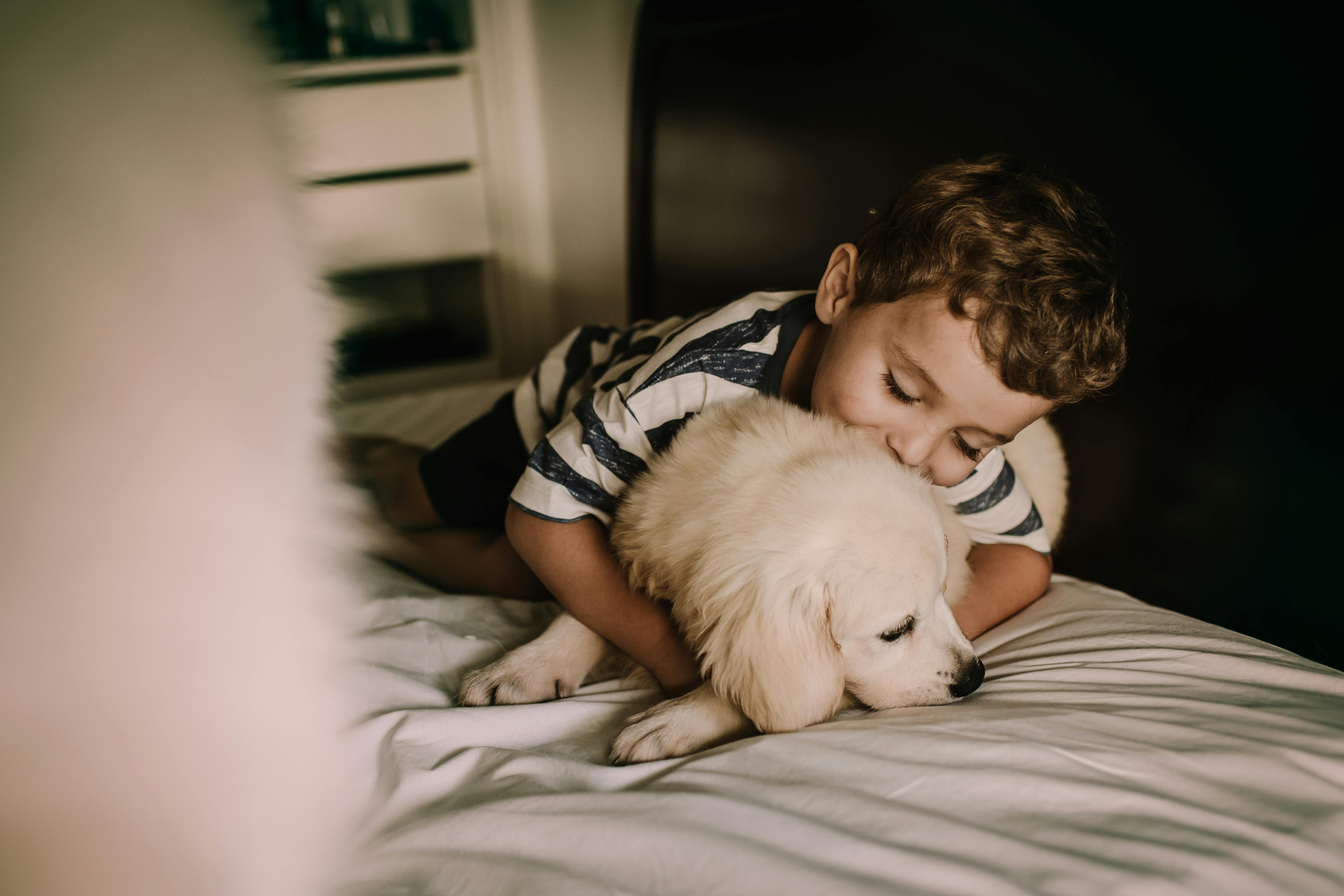 Pet care: Solving puppy tooth troubles and grooming gaffes — Photo by Helena Lopes on Pexels