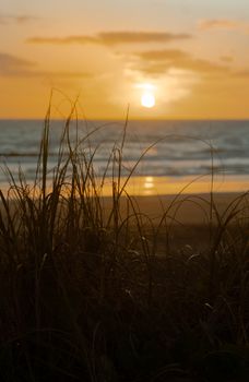 A beautiful sunset over the ocean with silhouetted grass in the foreground, creating a tranquil scene.