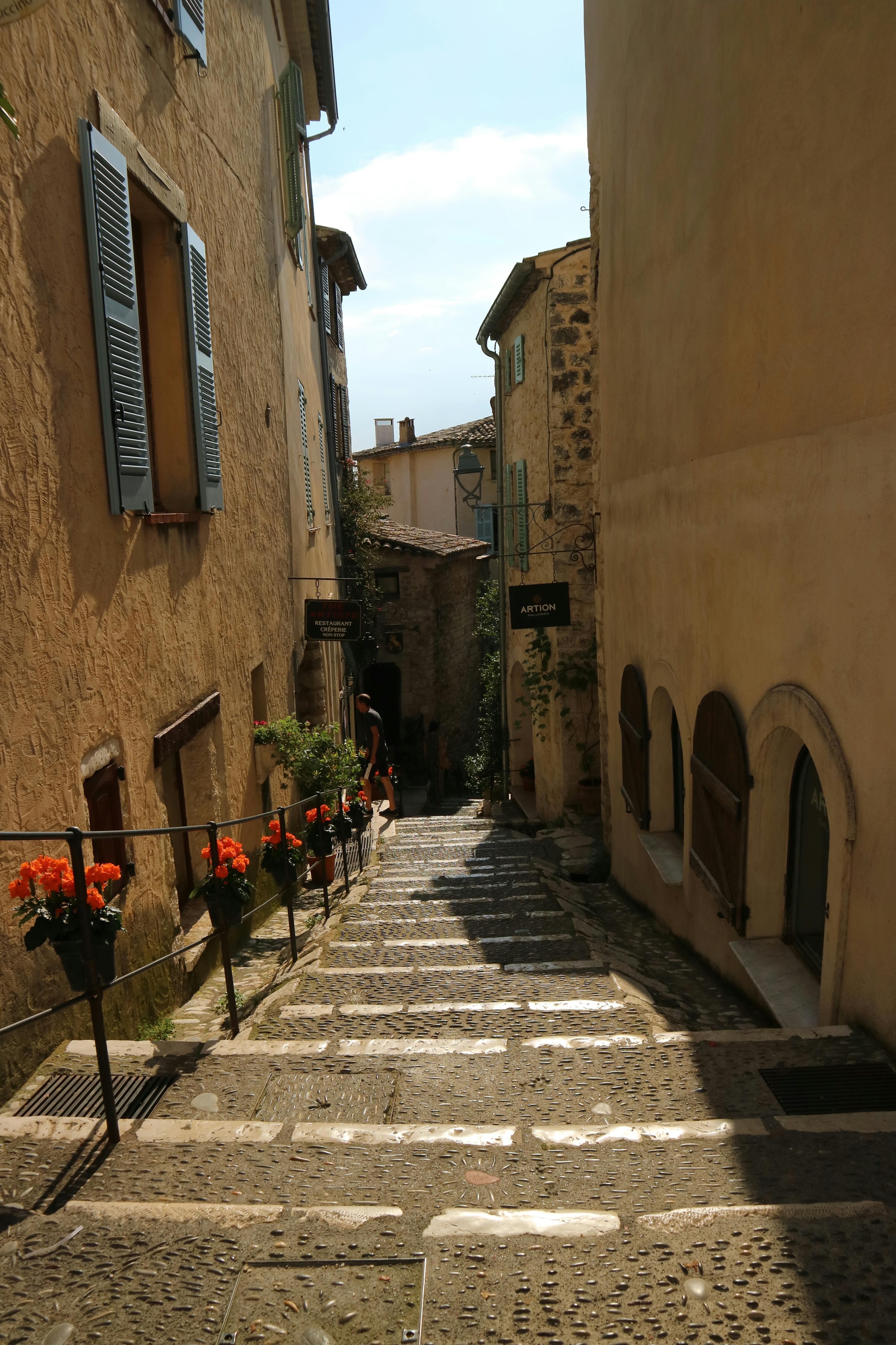 pexels-photo-3576477.jpeg?auto=compress&cs=tinysrgb&h=750&w=1260