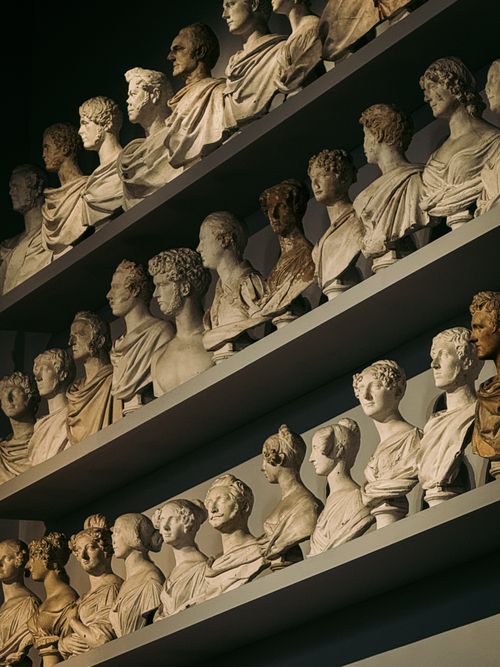 Free A museum display of classical busts in Florence, Italy showcasing Roman and Greek art. Stock Photo