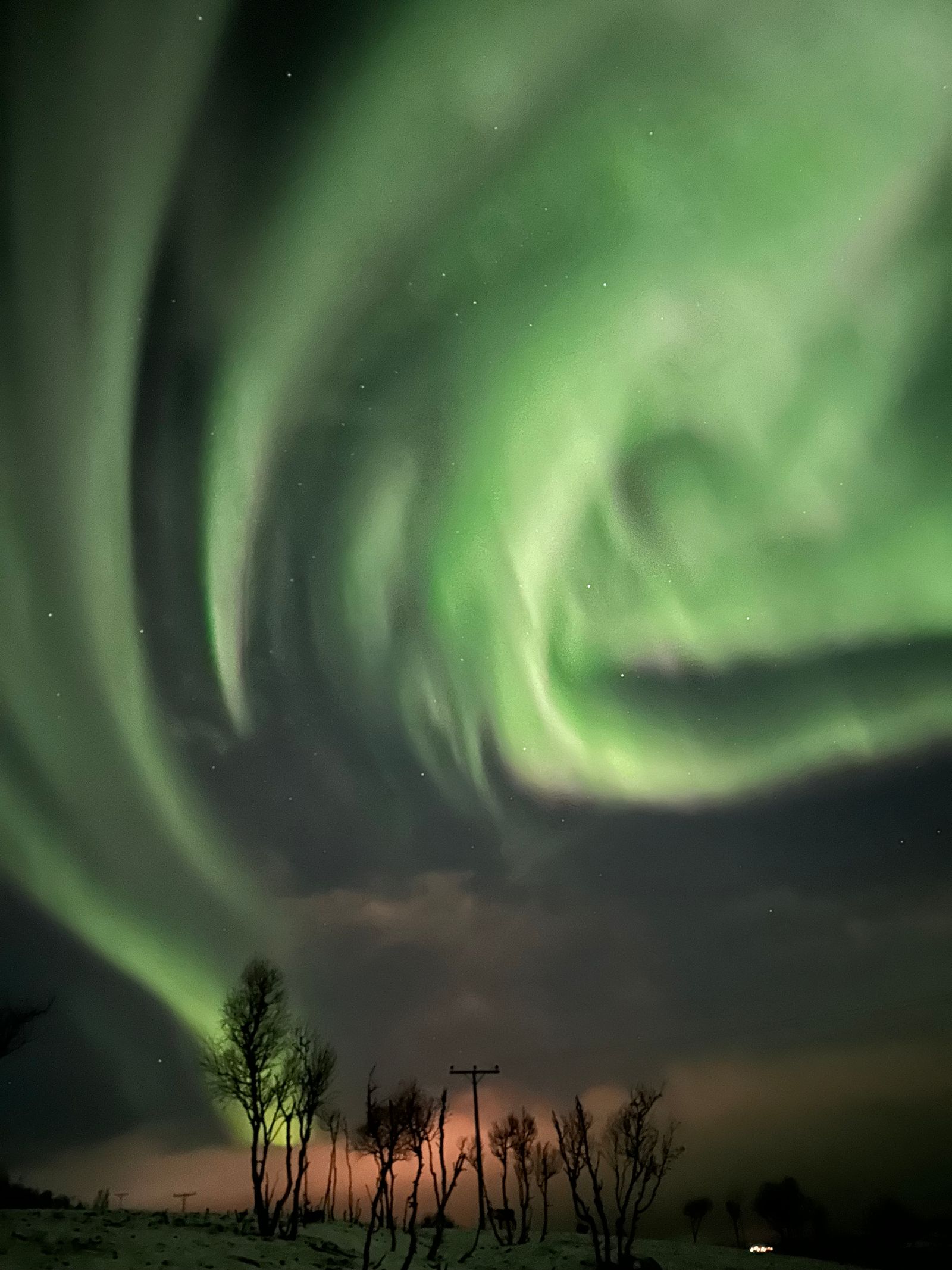 Bright green northern lights swirling over dark trees near Tromsø
