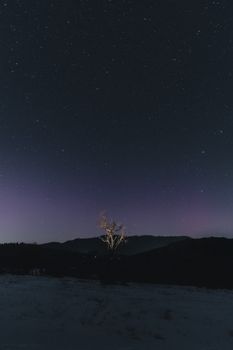A stunning night sky with stars over a solitary tree in a tranquil landscape.