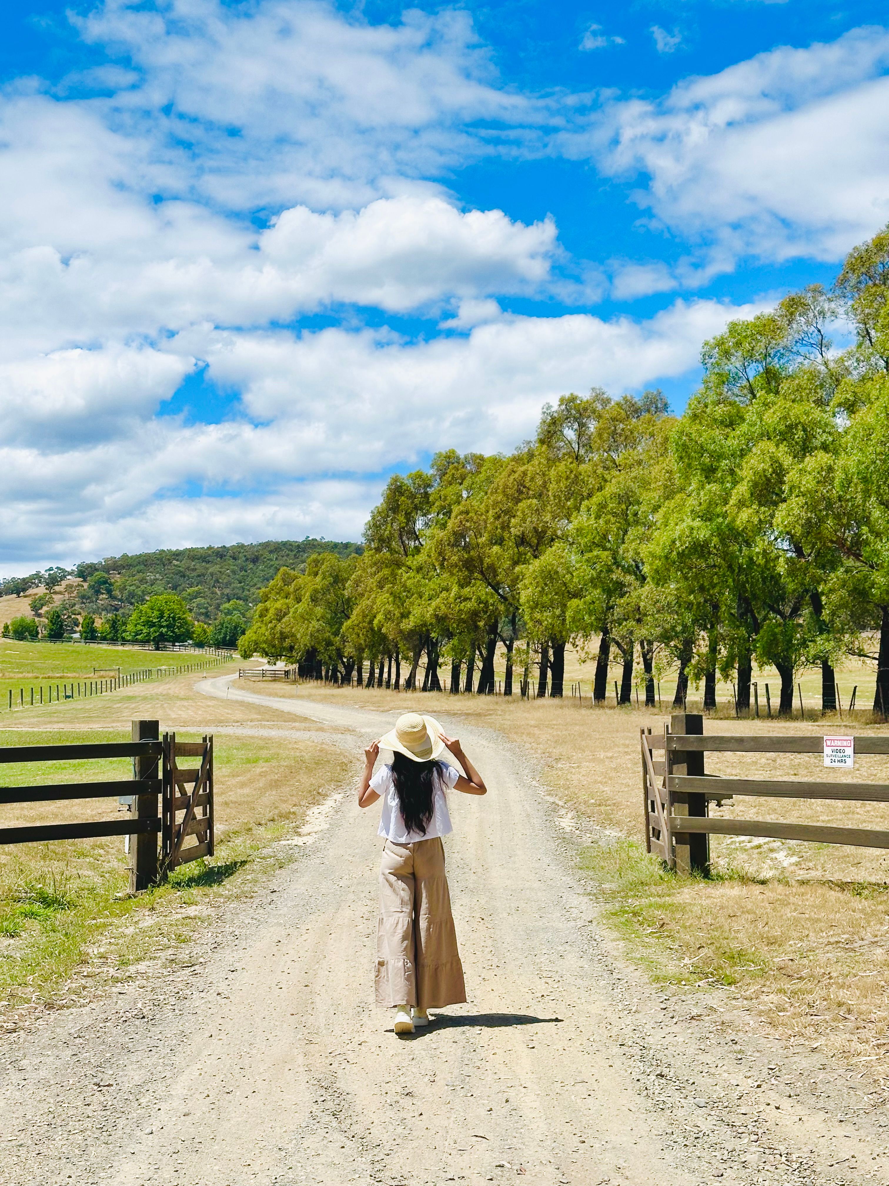 Woman Walking on Tree-Lined Country Road · Free Stock Photo