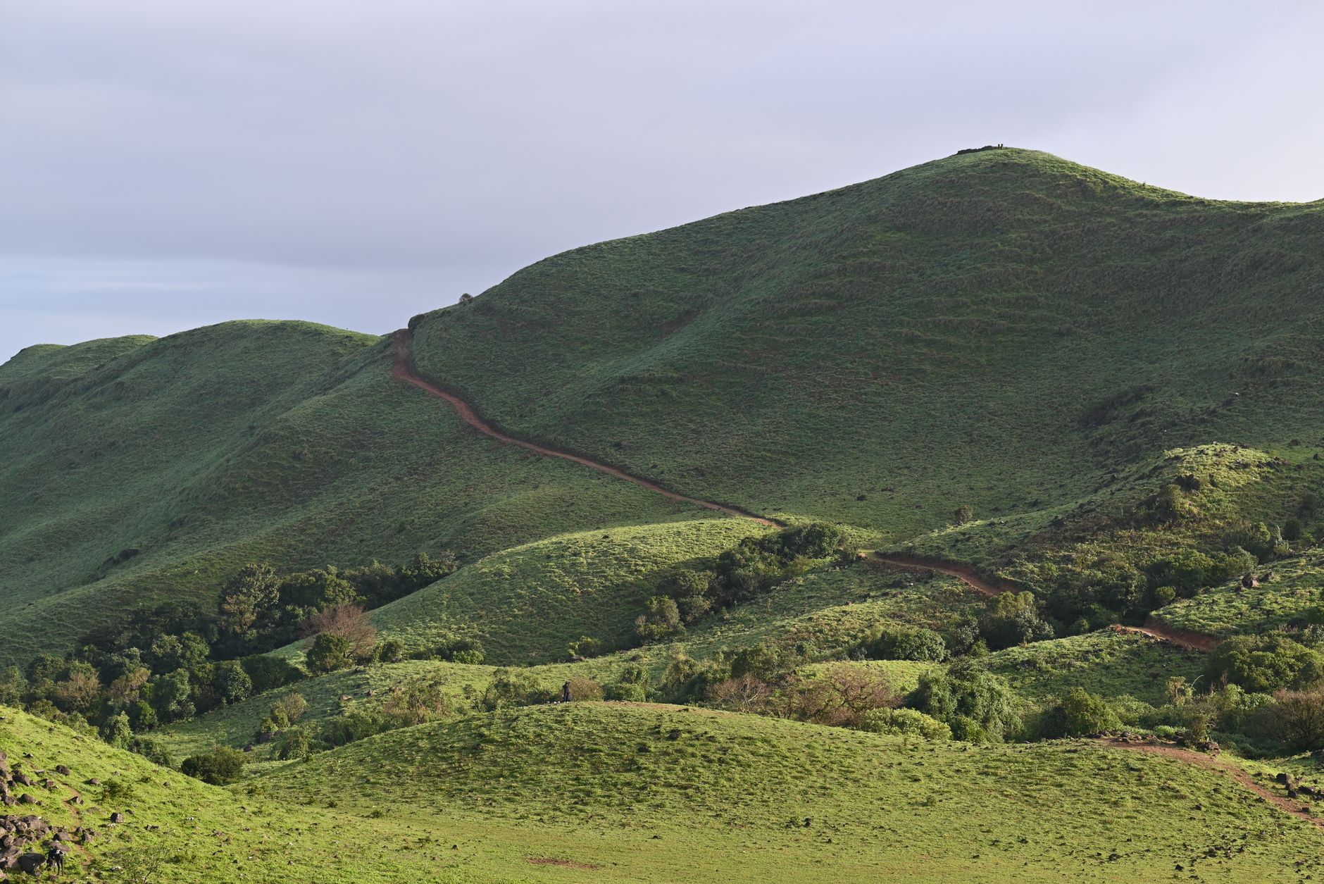 Best Homestays in Sakleshpur with Valley Views