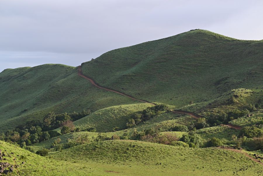Coorg (Madikeri) photo 4