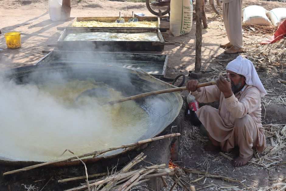 Raw Cane Sugar VHP