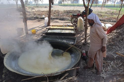 Free Rural worker tending large open pan evaporating sugarcane juice outdoors. Stock Photo
