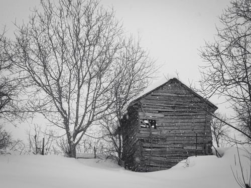 Free A wooden cabin surrounded by snow and bare trees in a winter setting. Stock Photo