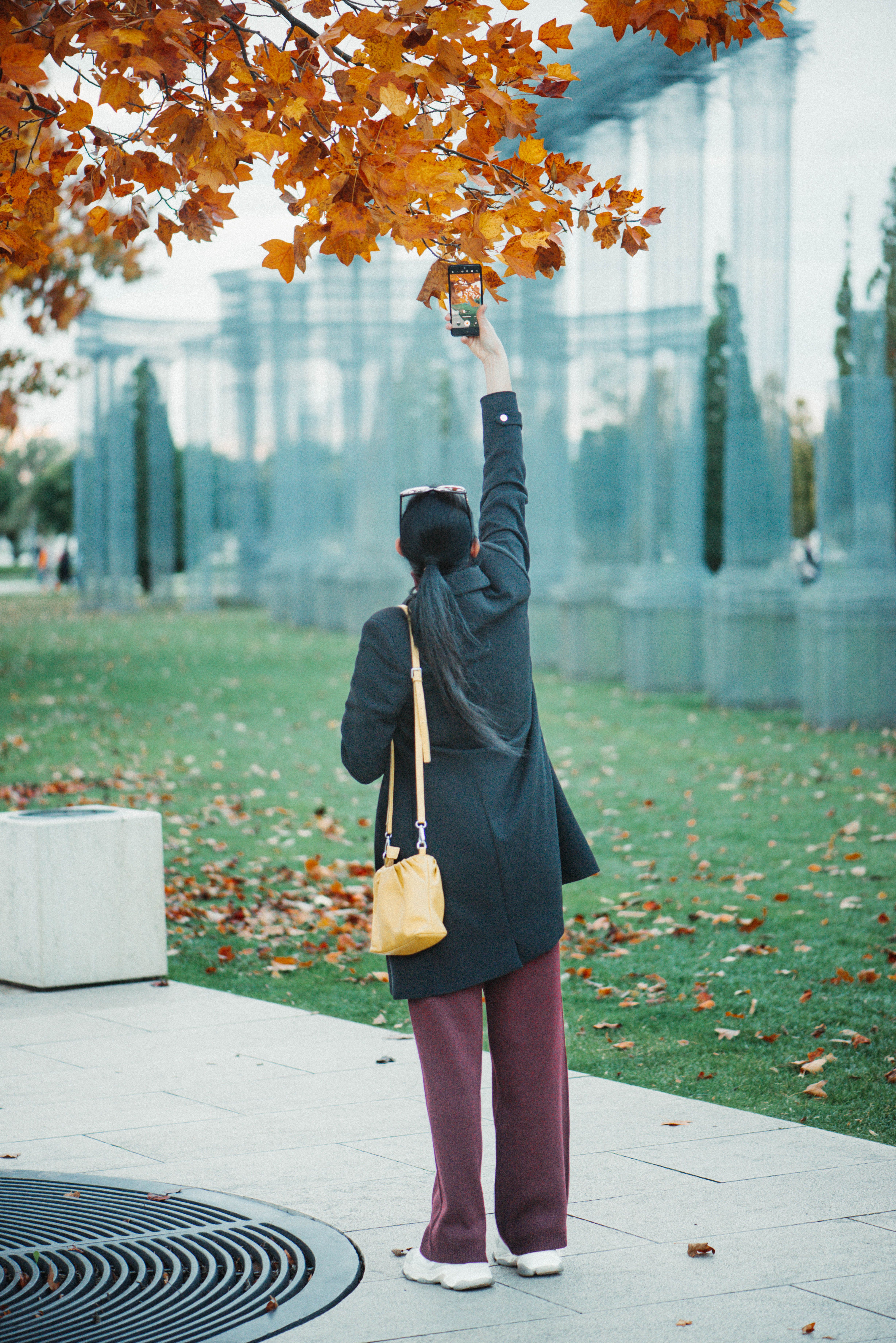 Woman Taking Photo of Autumn Leaves in Park · Free Stock Photo