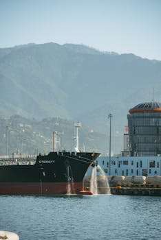 Commercial cargo ship at a port terminal with mountains and urban skyline in background.