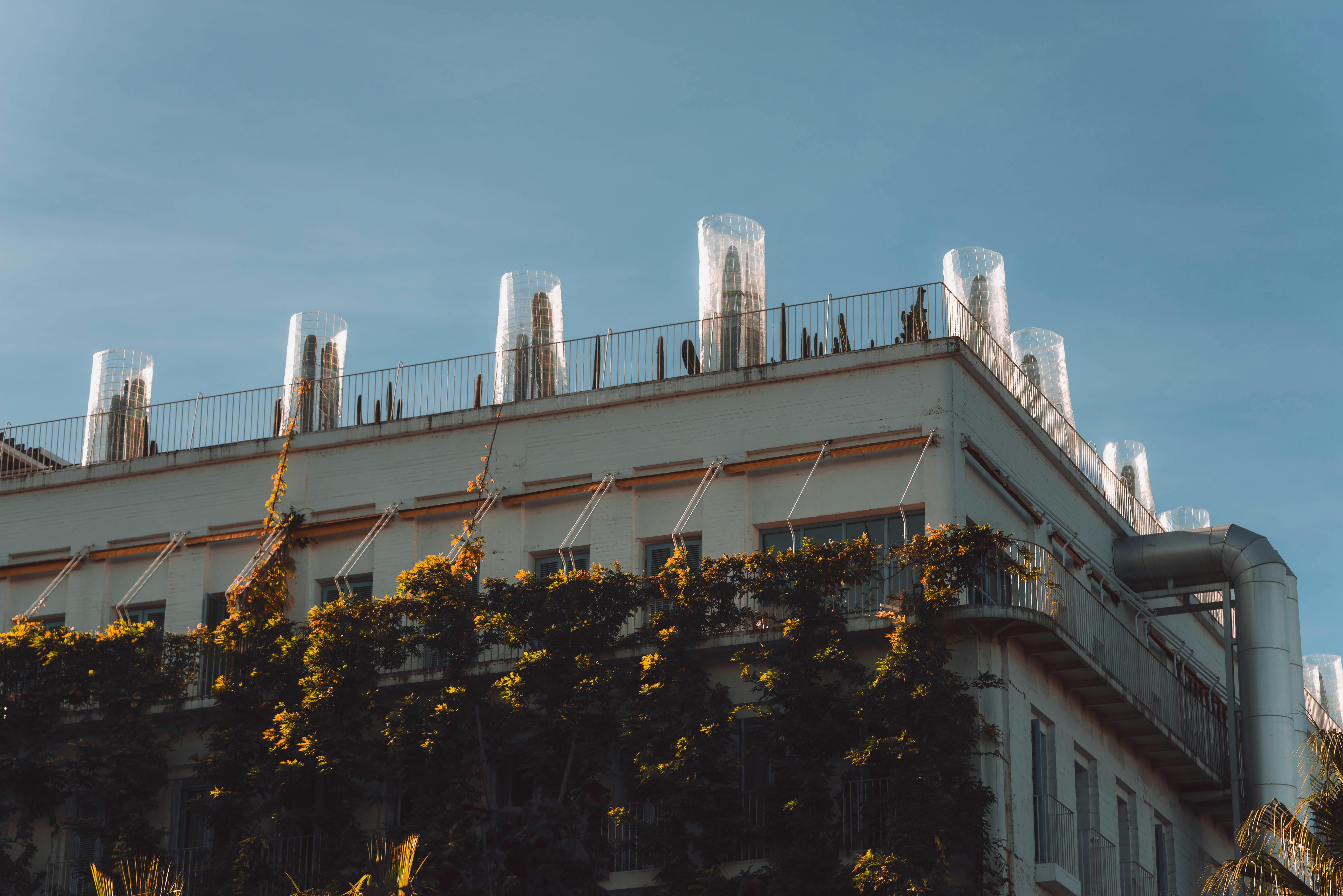 Extérieur d'un bâtiment contemporain avec façade verte et sculptures sur le toit sous un ciel bleu.
