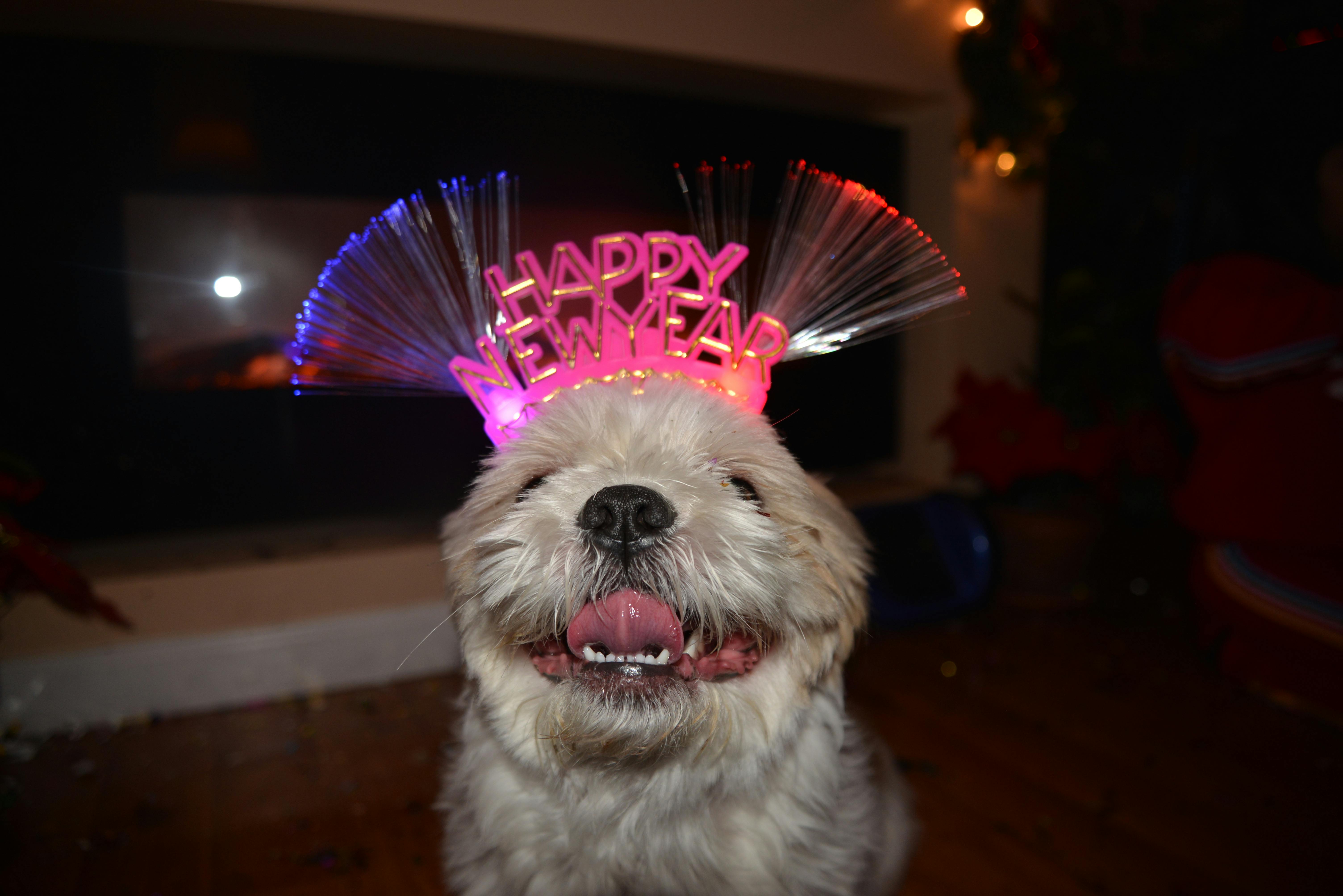 Aeroporto de Porto Alegre com aviões e passageiros.