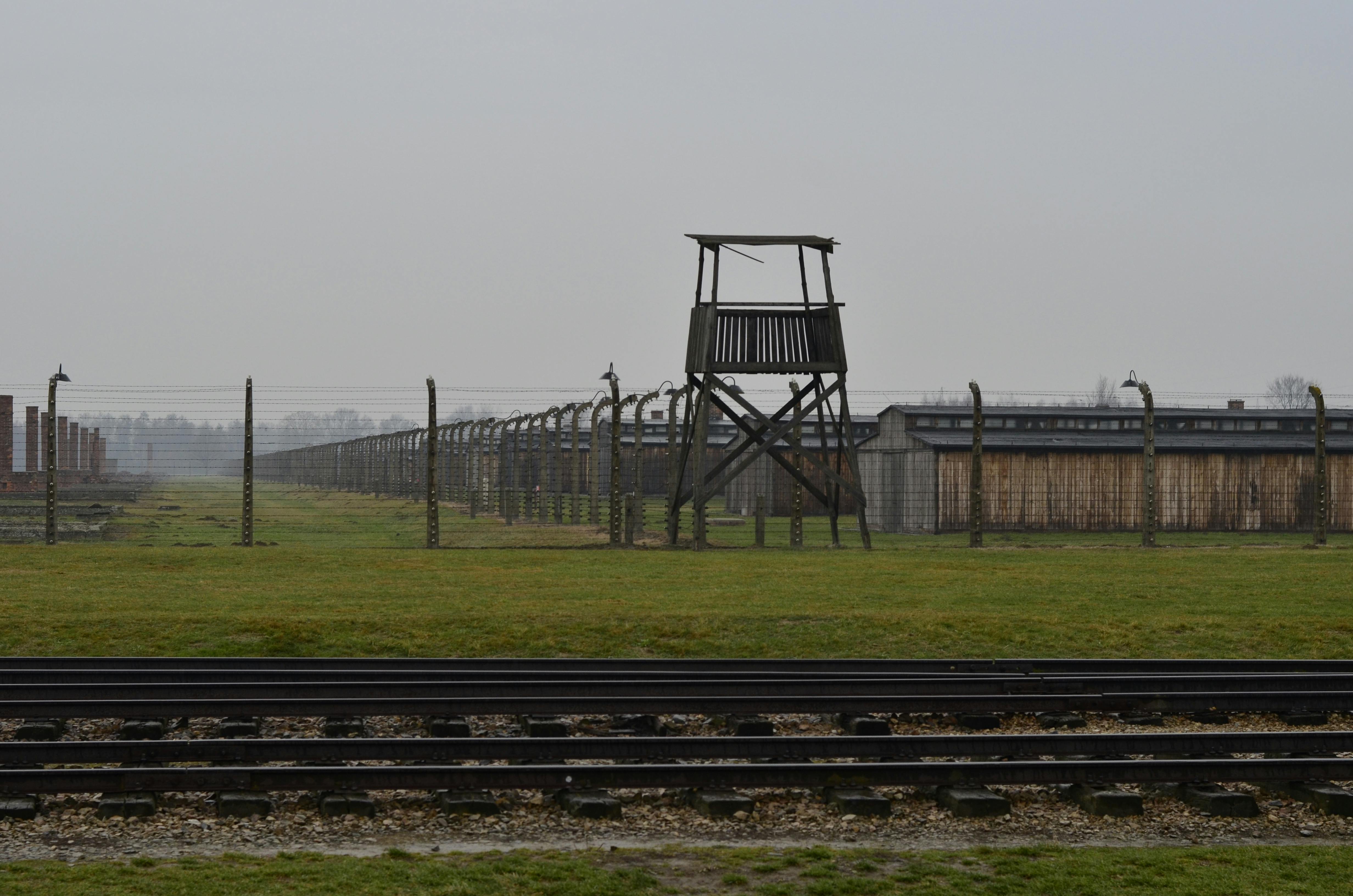 A somber view of Auschwitz concentration camp with railway tracks and watchtower.