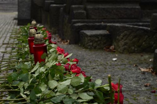 Free Red memorial candles and roses laid on stone steps in remembrance outdoors. Stock Photo