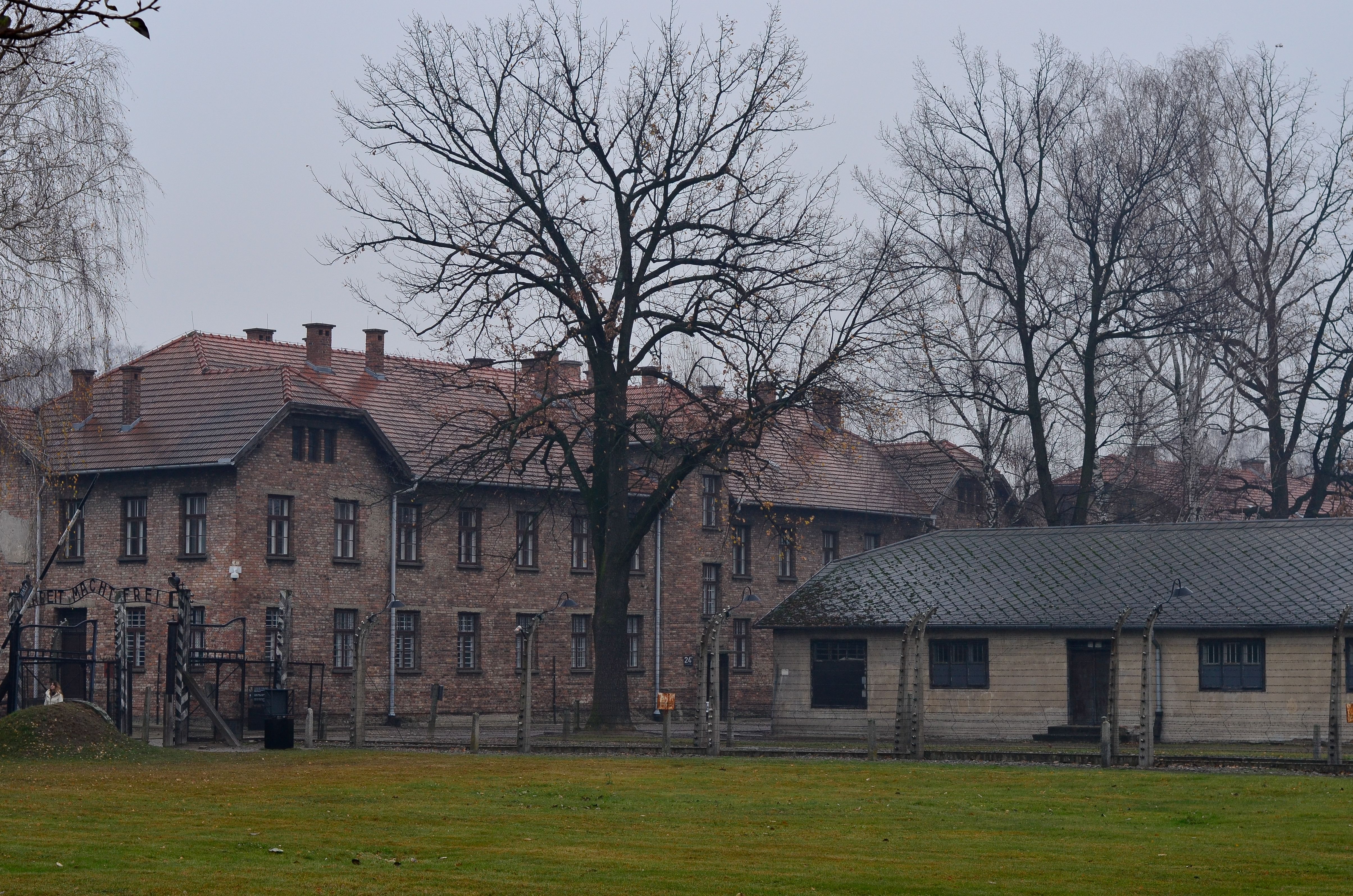 Historic Auschwitz Concentration Camp Buildings · Free Stock Photo