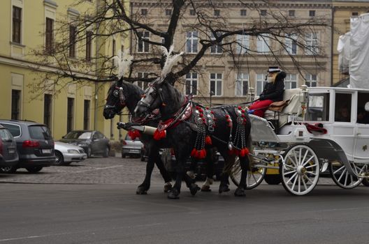 Elegant horse-drawn carriage rides through a historic city street, showcasing timeless charm.