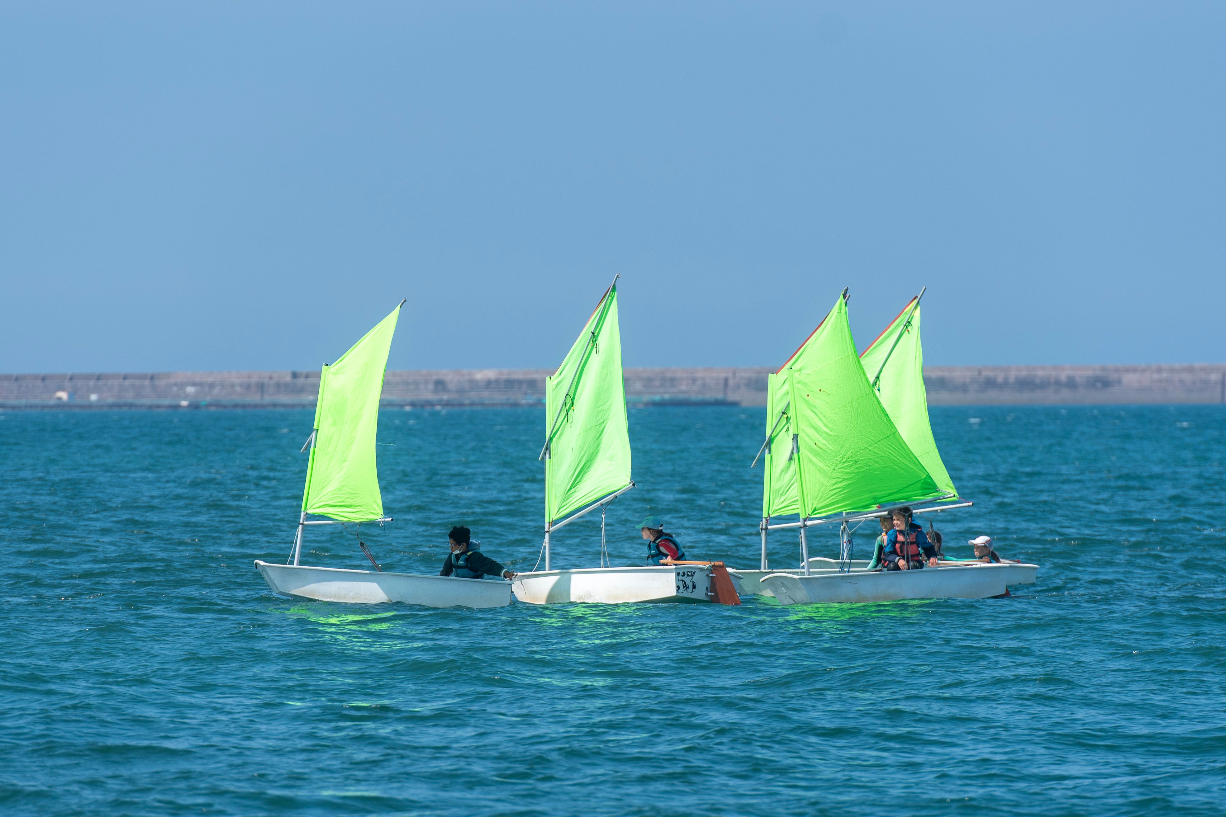 Harvard is a sailing school too