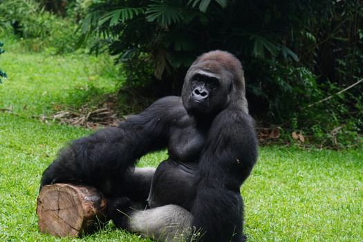 Lake Bunyonyi island canoe — Uganda — Bwindi Gorillas
